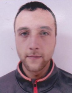 Колесник