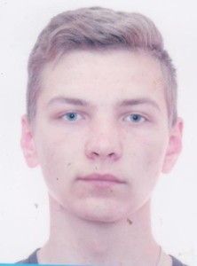 Павлінський