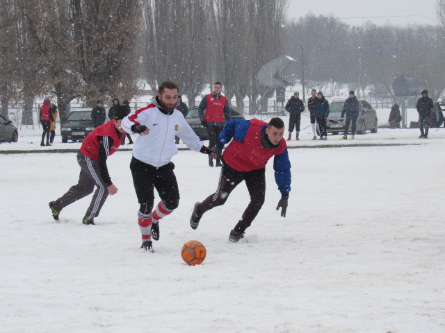 зимнік